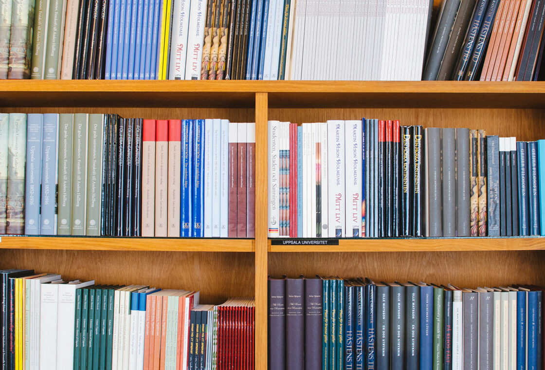 Shelves filled with colorful book spines